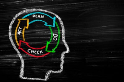 How do I sustain the plan-do-check act cycle?